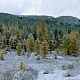 Красноярский край.Восточный Саян. Тофалария